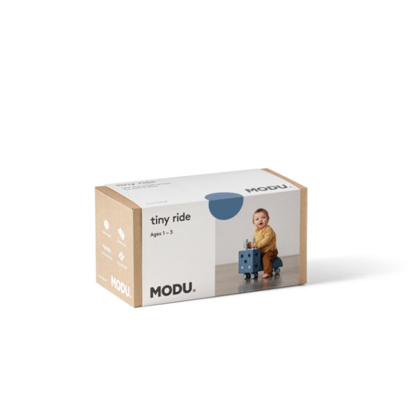 Modu Activity Toy